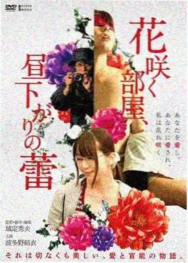 山海情 高清电视剧在线观看