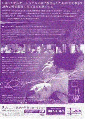 迎风的青春 高清电视剧免费